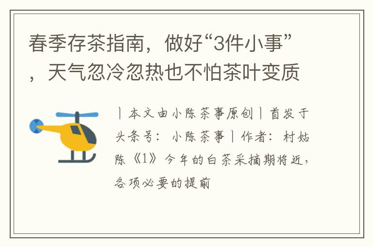 春季存茶指南，做好“3件小事”，天气忽冷忽热也不怕茶叶变质！