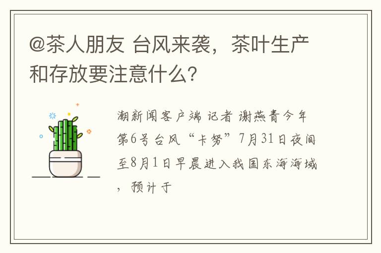 @茶人朋友 台风来袭，茶叶生产和存放要注意什么？