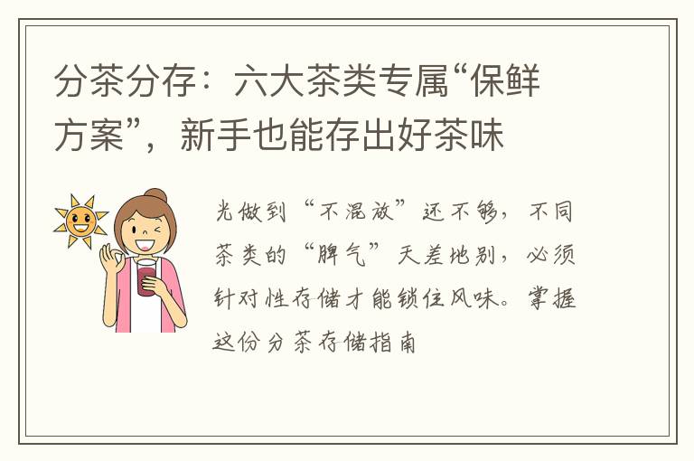 分茶分存：六大茶类专属“保鲜方案”，新手也能存出好茶味