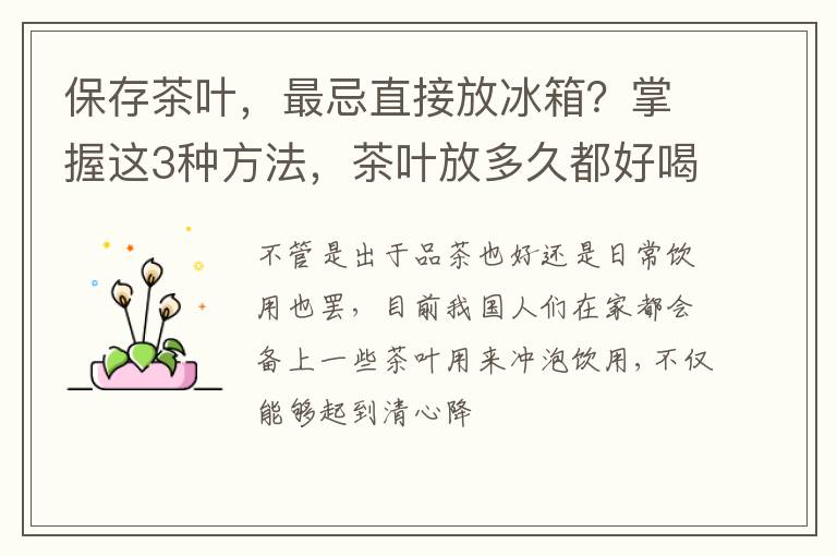 保存茶叶，最忌直接放冰箱？掌握这3种方法，茶叶放多久都好喝