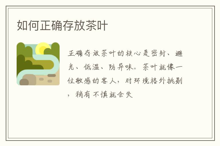 如何正确存放茶叶