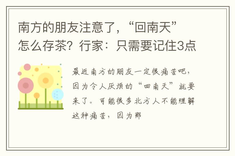 南方的朋友注意了，“回南天”怎么存茶？行家：只需要记住3点