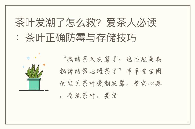 茶叶发潮了怎么救？爱茶人必读：茶叶正确防霉与存储技巧