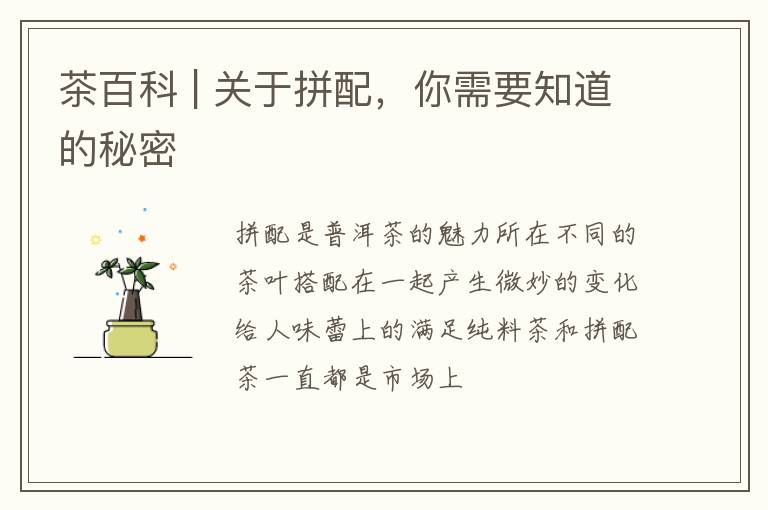 茶百科 | 关于拼配，你需要知道的秘密