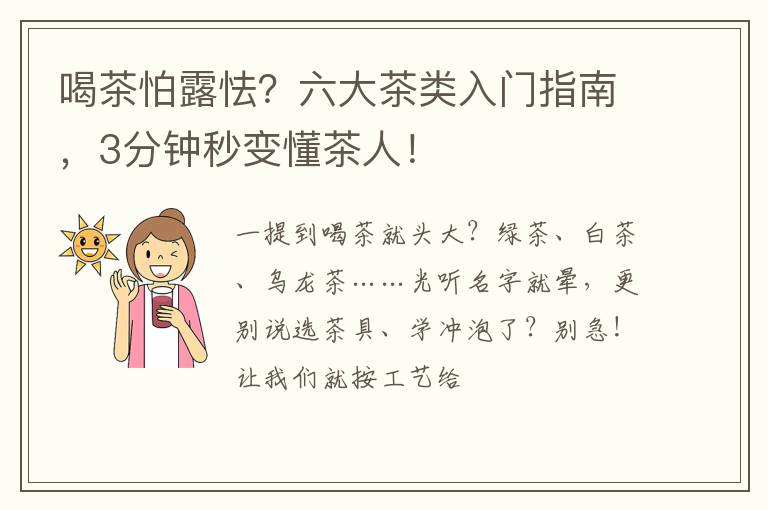 喝茶怕露怯？六大茶类入门指南，3分钟秒变懂茶人！