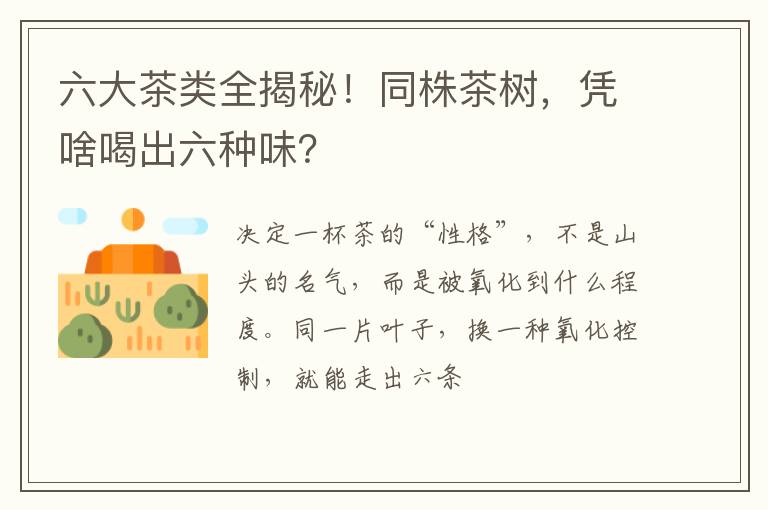 六大茶类全揭秘！同株茶树，凭啥喝出六种味？