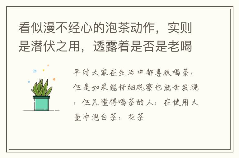 看似漫不经心的泡茶动作，实则是潜伏之用，透露着是否是老喝茶人
