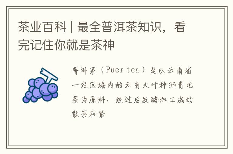 茶业百科 | 最全普洱茶知识，看完记住你就是茶神