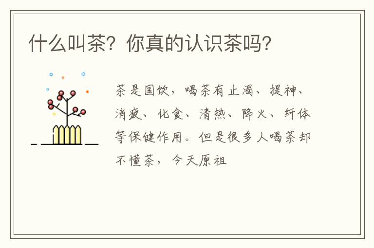 什么叫茶？你真的认识茶吗？