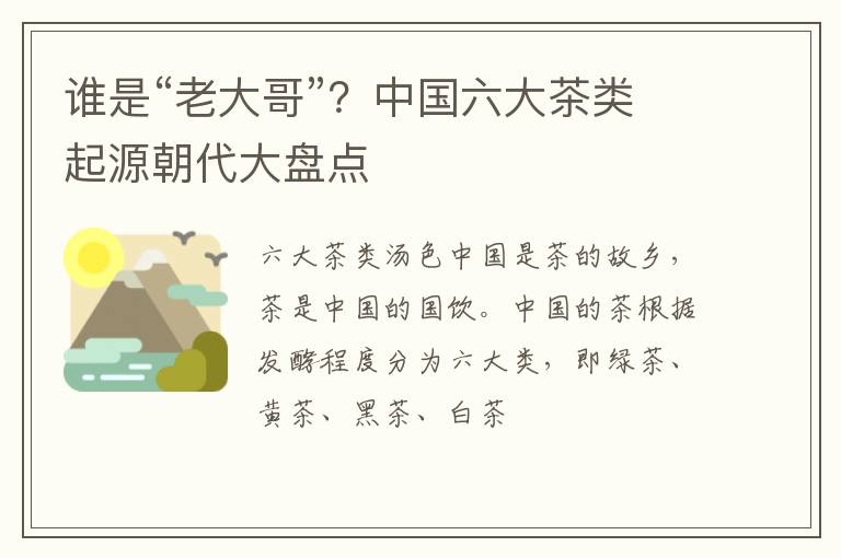 谁是“老大哥”？中国六大茶类起源朝代大盘点