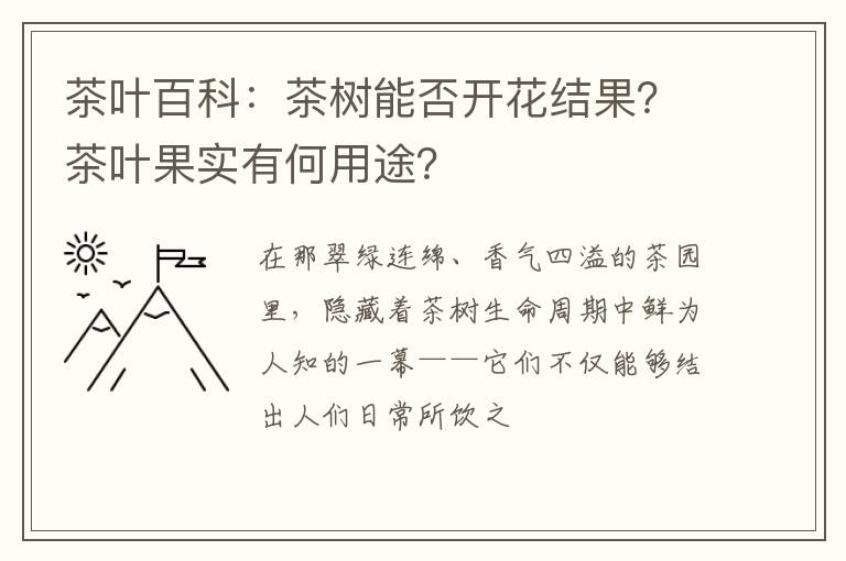 茶叶百科：茶树能否开花结果？茶叶果实有何用途？