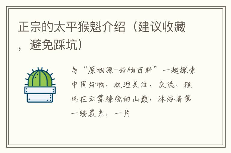 正宗的太平猴魁介绍（建议收藏，避免踩坑）