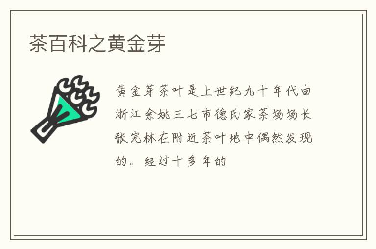 茶百科之黄金芽