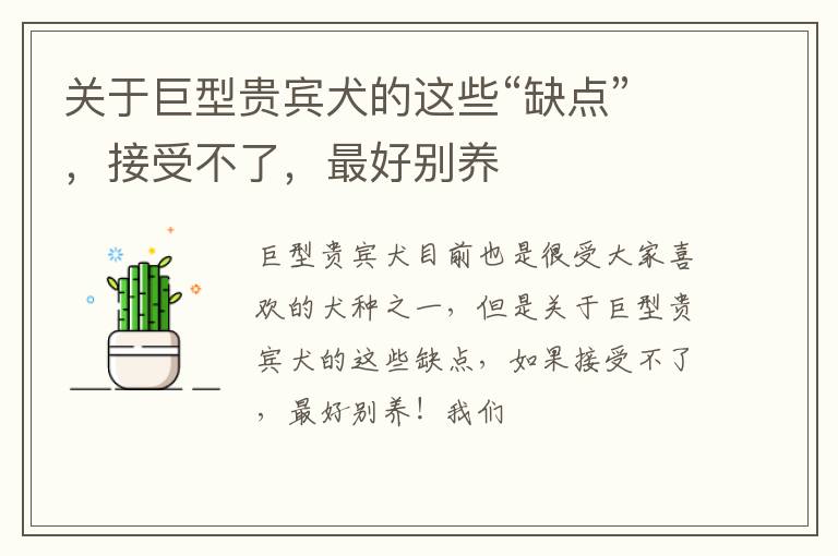 关于巨型贵宾犬的这些“缺点”，接受不了，最好别养