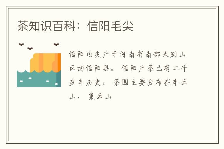茶知识百科：信阳毛尖