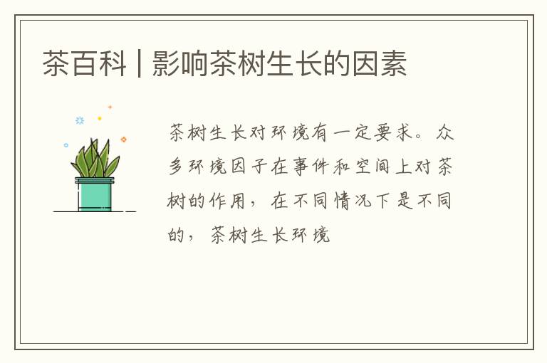茶百科 | 影响茶树生长的因素