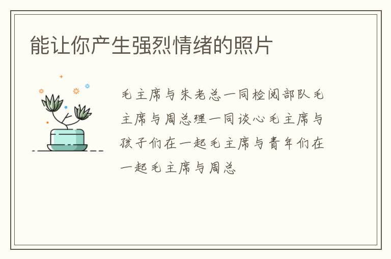 能让你产生强烈情绪的照片