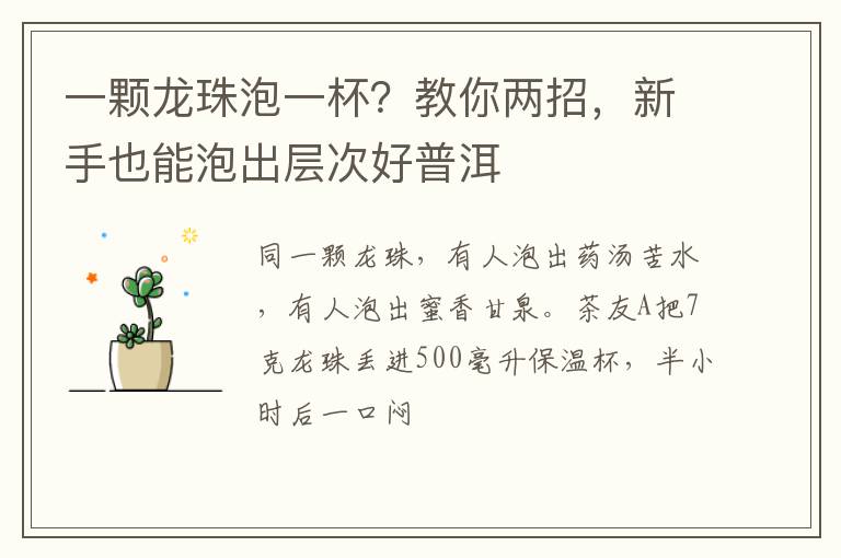 一颗龙珠泡一杯？教你两招，新手也能泡出层次好普洱