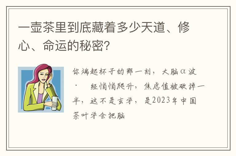 一壶茶里到底藏着多少天道、修心、命运的秘密？