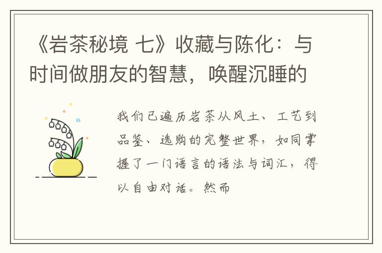 《岩茶秘境 七》收藏与陈化：与时间做朋友的智慧，唤醒沉睡的茶魂