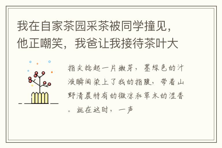 我在自家茶园采茶被同学撞见，他正嘲笑，我爸让我接待茶叶大王