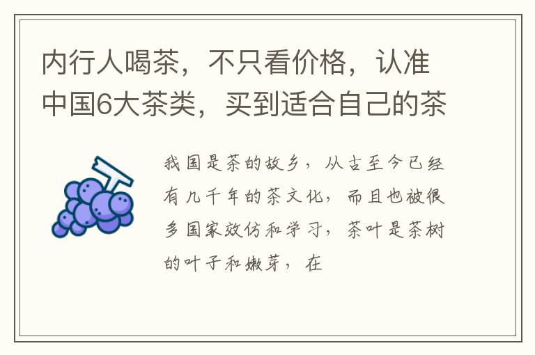 内行人喝茶，不只看价格，认准中国6大茶类，买到适合自己的茶
