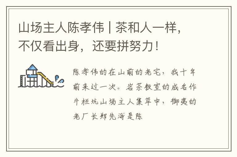 山场主人陈孝伟 | 茶和人一样，不仅看出身，还要拼努力！