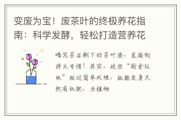 变废为宝！废茶叶的终极养花指南：科学发酵，轻松打造营养花肥