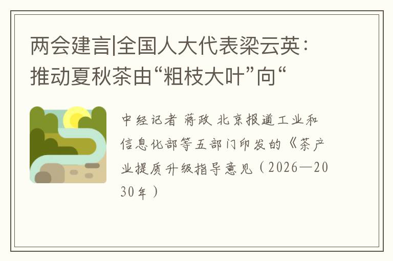 两会建言|全国人大代表梁云英：推动夏秋茶由“粗枝大叶”向“金枝玉叶”转化