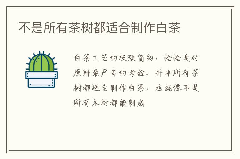 不是所有茶树都适合制作白茶