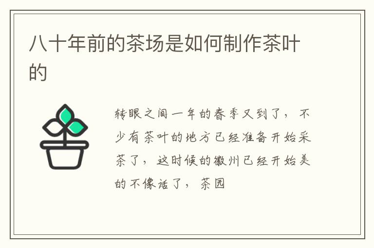八十年前的茶场是如何制作茶叶的