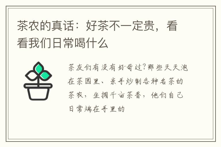 茶农的真话：好茶不一定贵，看看我们日常喝什么