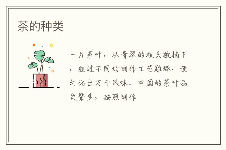 茶的种类