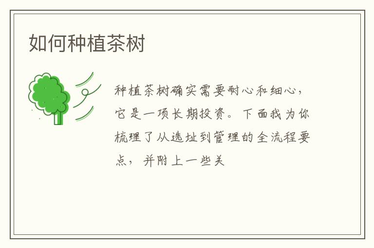 如何种植茶树