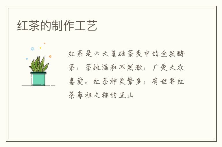 红茶的制作工艺