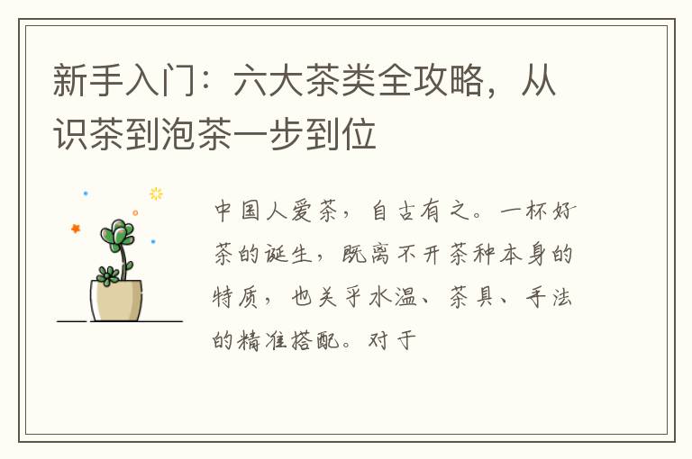 新手入门：六大茶类全攻略，从识茶到泡茶一步到位