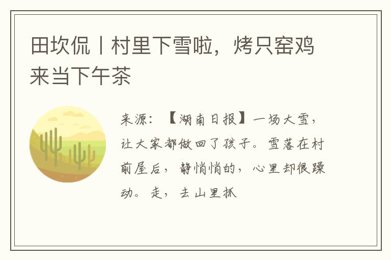 田坎侃丨村里下雪啦，烤只窑鸡来当下午茶