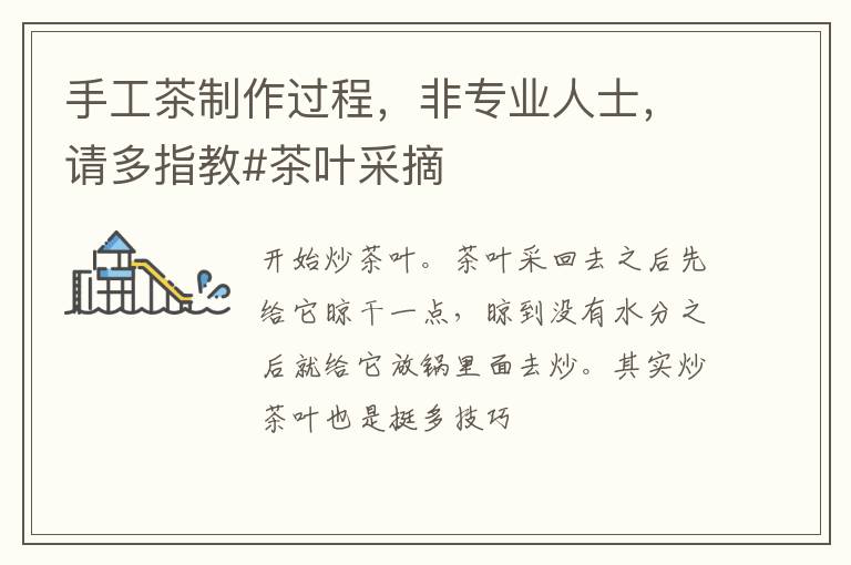 手工茶制作过程，非专业人士，请多指教#茶叶采摘