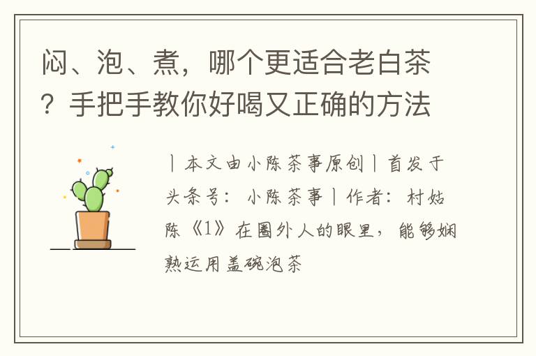 闷、泡、煮，哪个更适合老白茶？手把手教你好喝又正确的方法