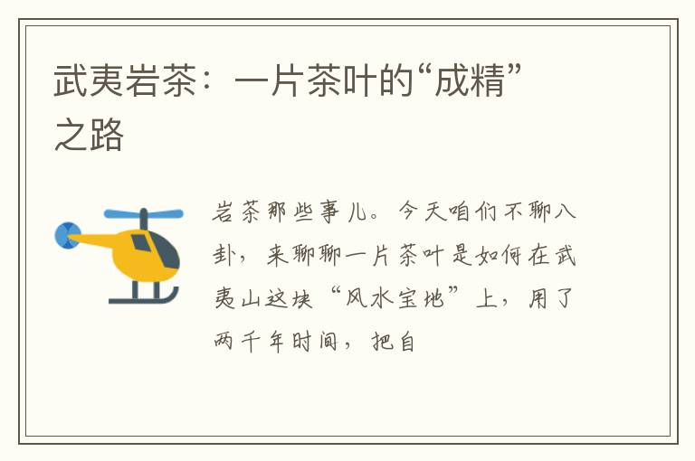 武夷岩茶：一片茶叶的“成精”之路