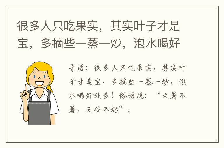 很多人只吃果实，其实叶子才是宝，多摘些一蒸一炒，泡水喝好处多