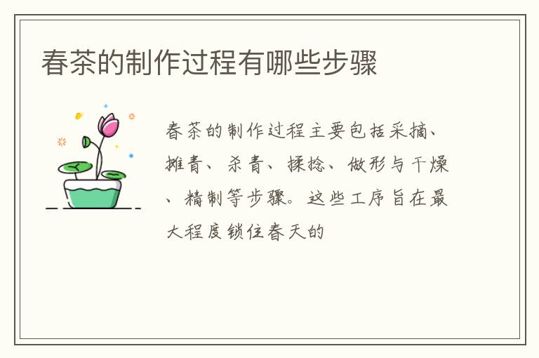 春茶的制作过程有哪些步骤