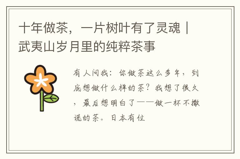 十年做茶，一片树叶有了灵魂｜武夷山岁月里的纯粹茶事