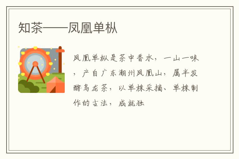 知茶——凤凰单枞